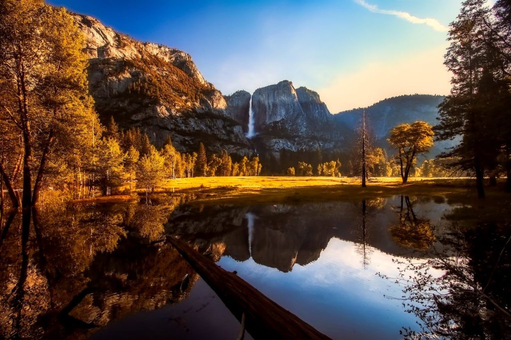 Forest Near Body of Water